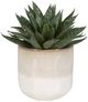 Uttermost® Doha Green Succulent Accent Artificial Foliage-2