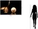 Classy Living Golf Swing Wall Art-2