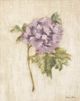 StyleCraft Light and Airy ll Wall Art-1