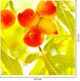 Classy Living Just Peachy Wall Art-2