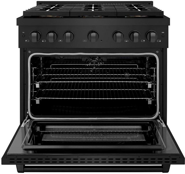 ZLINE Paramount Series 36" Black Stainless Steel Pro Style Dual Fuel Range with 6 Burner DuoPro™ Cooktop and Electric Convection Oven-1
