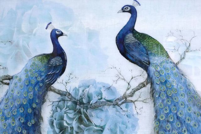 Classy Art Peacocks Wall Art-0