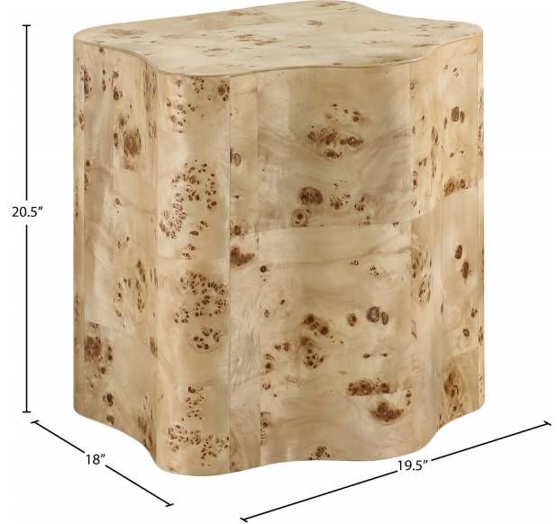 Meridian Furniture Zaire Burl End Table-2