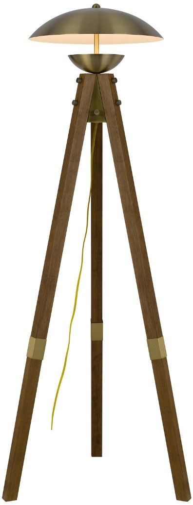 Cal® Lighting & Accessories Lakeland Antique Brass/Brown Floor Lamp-1