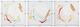 Crestview Collection Liveliness 3-Piece Wall Art Set-0