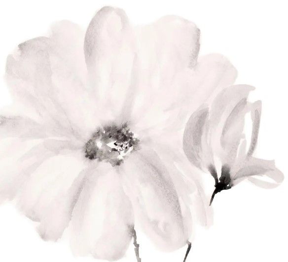 Classy Art Rise with the Sun I by Lanie Loreth White Wall Art-1