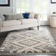 Nourison Home™ Oslo Shag 5'x8' Style 1 Area Rug-1