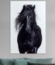 YHD Nature's Beauty III Wall Art-1