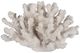 A & B Home White Inna Faux Rising Coral-1