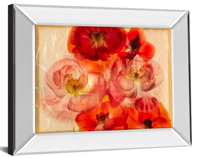 Classy Art Papaver Dreams I by Harold Davis Mirror Framed Wall Art-1