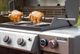 Weber® Rotisserie-2