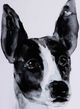 A & B Home Terrier Black/White Wall Art-1