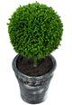 A & B Home 2-Piece Black/Green Mini Faux Potted Topiaries Set-2