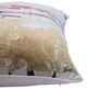 Renwil® Evora Blue/Brown 20"x20" Decorative Pillow-1