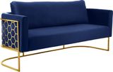 Navy-Gold