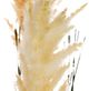 A & B Home Green Potted Pampas Grass Plant-2