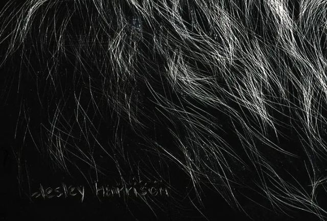 Classy Art African Lion by Lesley Harrison Wall Art-1