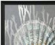 Stylecraft Shell III Black/Gray/Silver Wall Art -1