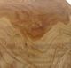 A & B Home Laka Brown Decorative Bowl-3