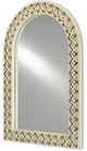 Currey & Company Ellaria Natural Bone/Brass Mirror-1