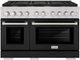 ZLINE Paramount 48" Stainless Steel Pro Style Dual Fuel Range with Black Matte Door-0