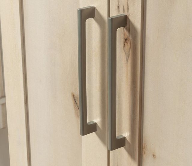 Sauder® HomePlus Pacific Maple® Door Storage Cabinet-2