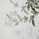 A & B Home 2-Piece Light Brown/White Floral Canvas Print Set-5