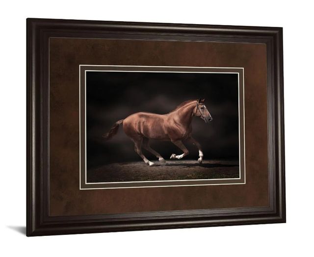 Classy Art Stallion on Black by Edoma Wall Art-1