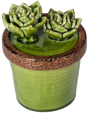 Click to view more images of the product.
