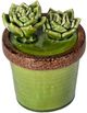 A & B Home Brown/Green Ceramics Plant Decorate-0