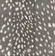 Surya Athena Gray 5'x8' Style 2 Area Rug-5