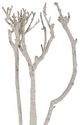 A & B Home White Branch Decor-0