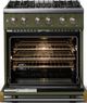 Viking® 5 Series 30" Martini Pro Style Dual Fuel (LP) Range with Brushed Brass Trim-1