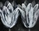 Stylecraft Jane Seymour White Trio on Black Black/White Wall Art-1
