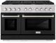 ZLINE Paramount 48" Satin Stainless Steel Pro Style Dual Fuel Range with Black Matte Door-0