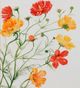 Stylecraft Warm Cosmos II Gray/Green/Orange/Red/Yellow Wall Art-1