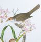 A & B Home 2-Piece Botanical and Bird Wall Art Set-3