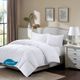 Olliix True North by Sleep Philosophy White Twin/Twin XL Northfield All Season Cotton Twill Supreme Down Blend Comforter-0