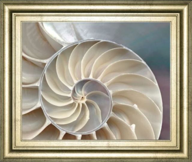 Classy Art Beige Nautilus by Levine, A. Wall Art-0