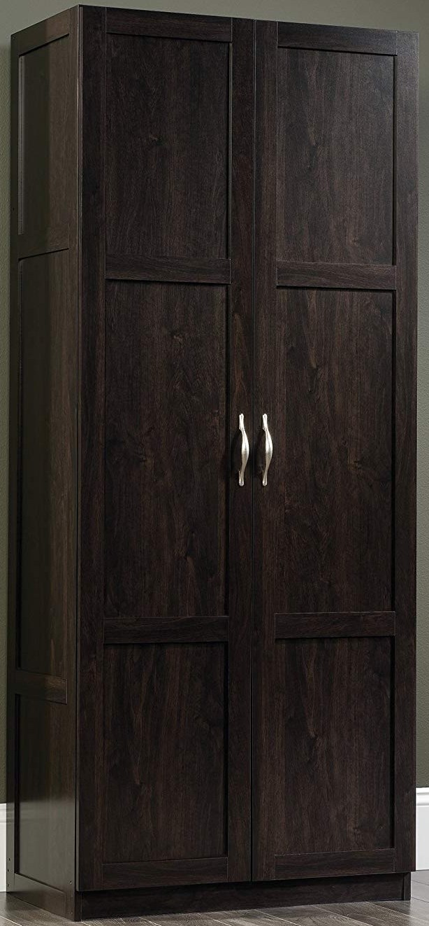 Sauder® Select Cinnamon Cherry Storage Cabinet | Big Sandy