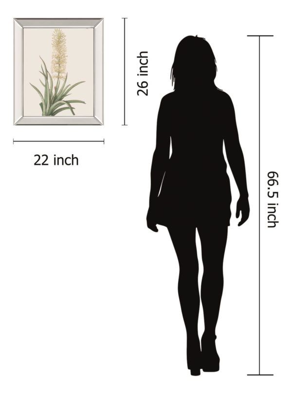 Classy Art Sansevieria Zeylancia by Pierre Joseph Redoute Mirrored Frame Wall Art-2