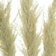 A & B Home Cream Dried Natural Pampas Grass Bundle-2