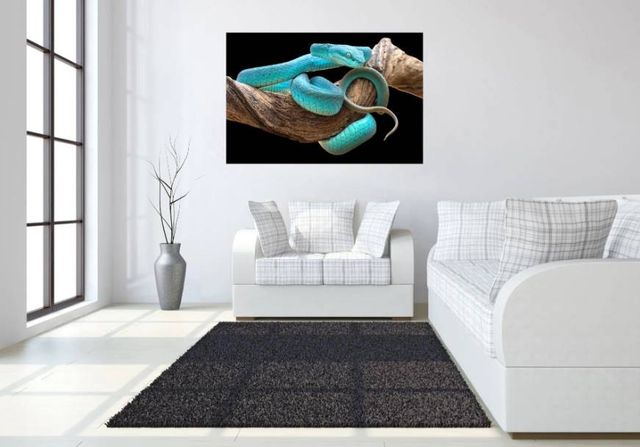 Classy Art Turquoise Snake Wall Art-3