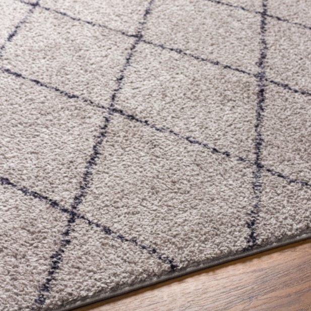 Surya Lykke Gray 4'x6' Area Rug-3