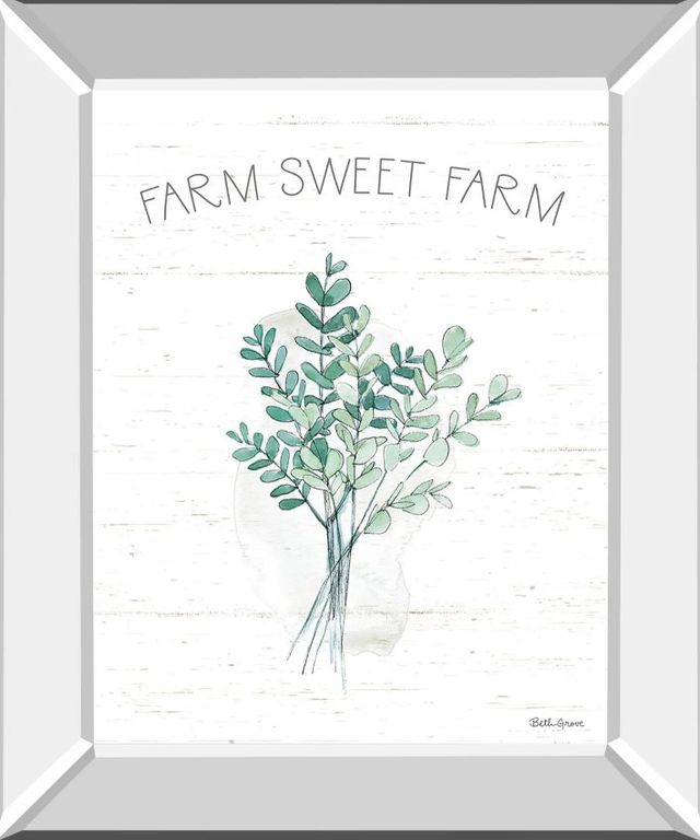 Classy Art Farmhouse Cotton V by Beth Grove Mirror Framed Wall Art-0