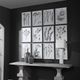 Uttermost® by Grace Feyock Contemporary Botanicals 12-Piece Monochromatic Framed Prints-4