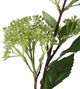 A & B Home Light Green 40" Fruit Spray-1