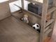 Furniture of America® Callistus Warm Gray Twin Workstation Loft Bed-2