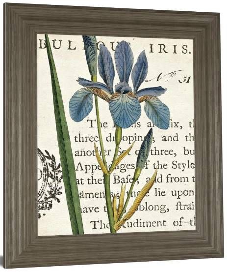 Classy Art Iris Letter by Sue Schlabach Wall Art-1