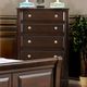 Furniture of America® Litchville Brown Cherry Chest-2